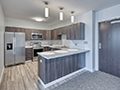 Evan Lloyd Architects completed multi-unit dwelling housing architectural services for Springfield Urban Redevelopment Project in Springfield, Illinois - new kitchen.